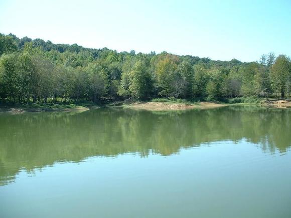 Serenity
