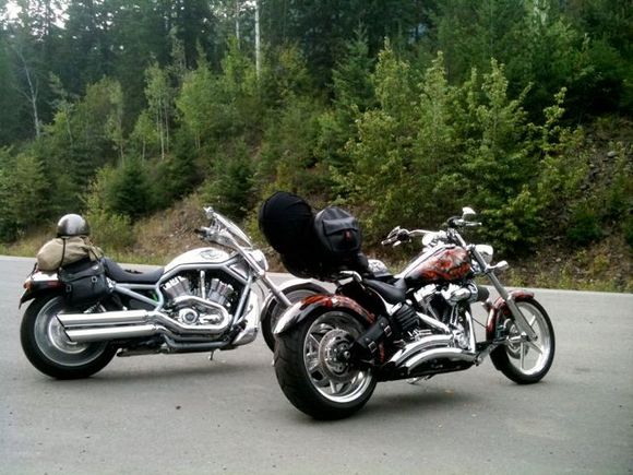 According to this forum, two of the ugliest Harley's.  :)   I beg to differ.