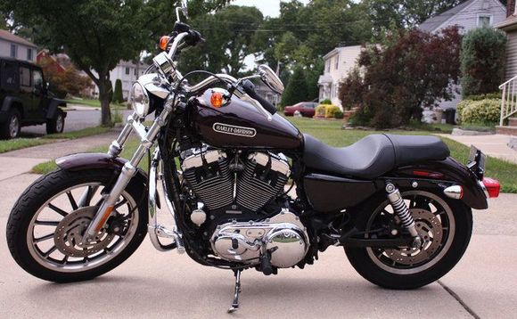 2007 XL1200L naked