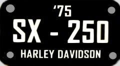 MC 1975 SX