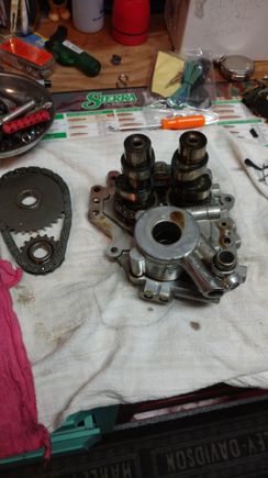Pulled the cam out. Borrowed a cam bearing puller/installer. will change the bearings them install the cams.  259E's came with the kit. 