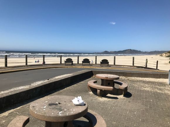 Hmm, nothing says great fish and chips like a seagull shit covered picnic table!