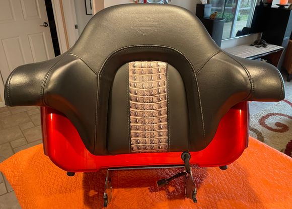 My offending, half-naked Tour Pak