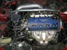 vtec motor from a 96 couple with a jdm rebuilt tranny