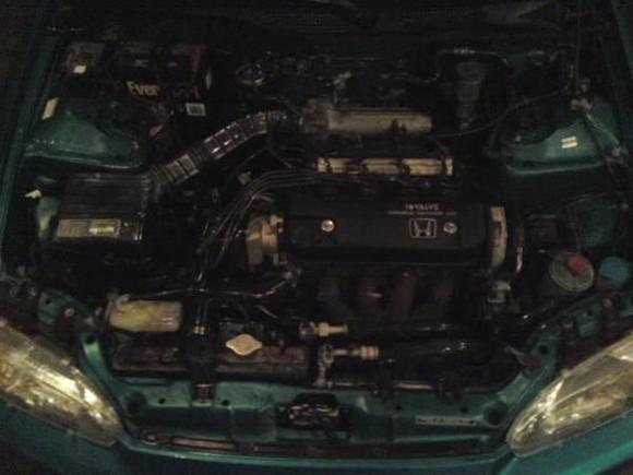 Stock engine bay!