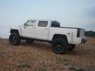 Bighead's white H3T