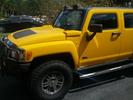 My H3