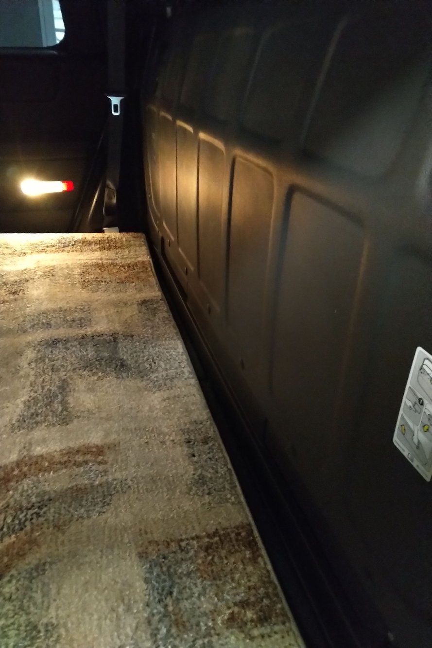 The dog's space - with his new rug...