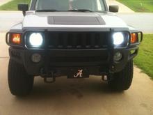 grill and brush guard