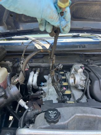 Ignition harness. The larger grey connector towards the firewall on left looked a bit rough, locking clamps broke off. The small black connector also looked a bit rough 