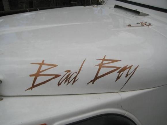Custom Paint.. I designed it