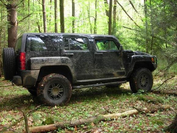Hummer 008