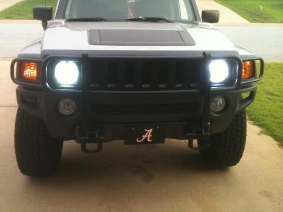 grill and brush guard