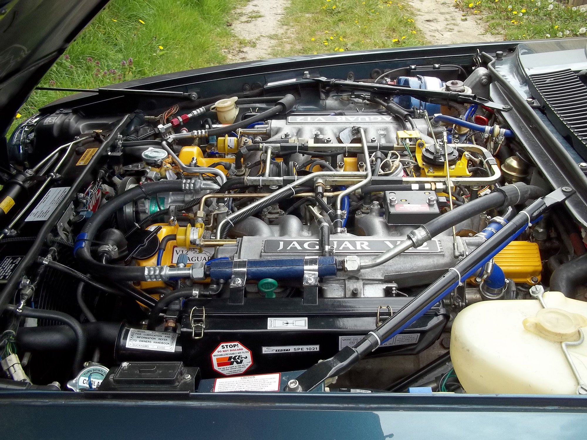 1984 Jaguar XJS - 1984 he xjs - Used - VIN SAJJNAEW3BC116554 - 72,000 Miles - 12 cyl - 2WD - Automatic - Coupe - Blue - Wallingtom SM68ED, United Kingdom