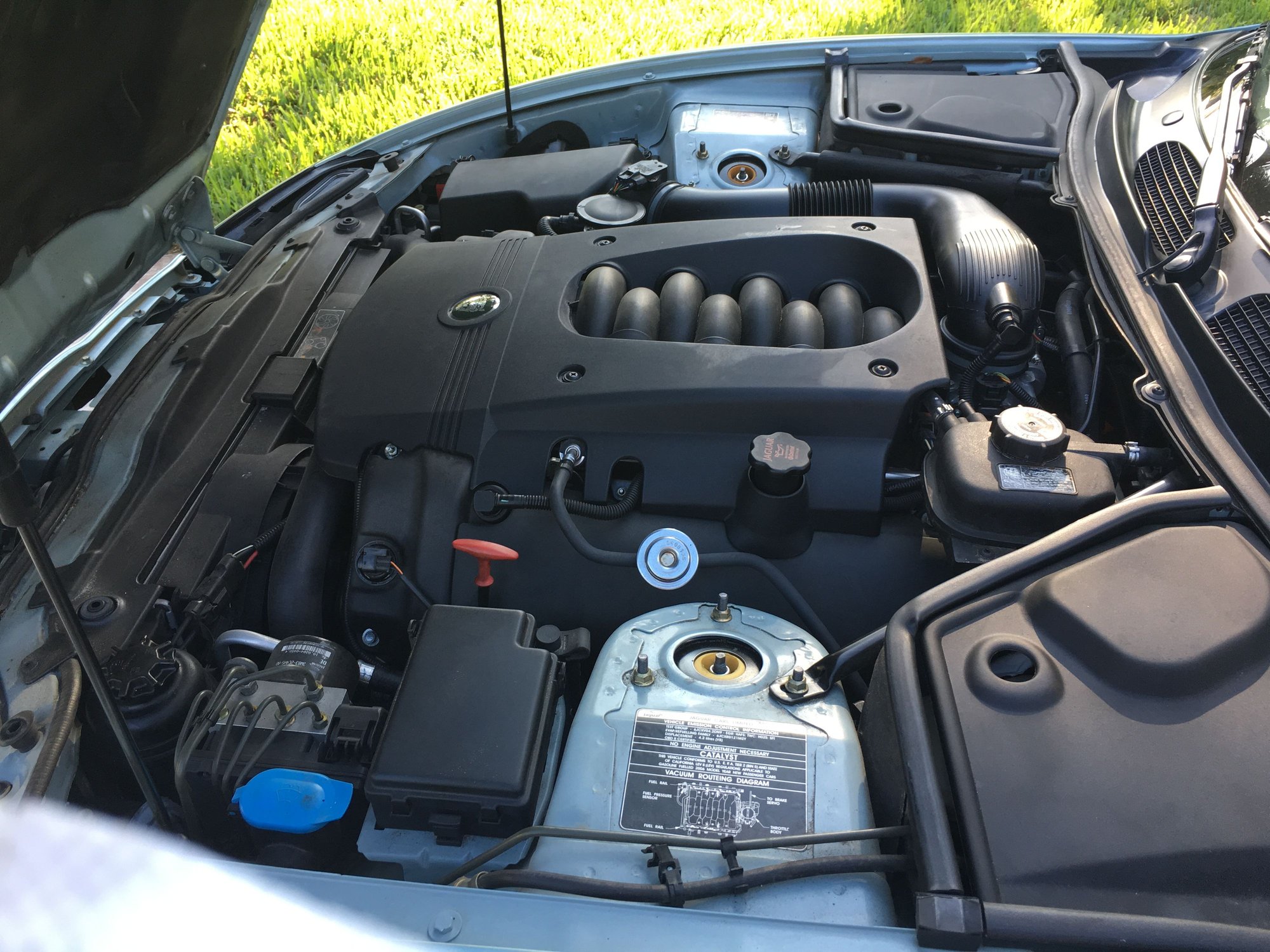 2006 Jaguar XK8 - 2006 XK8 Victory Edition - Used - VIN SAJDA42C462A47546 - 67,500 Miles - 8 cyl - 2WD - Automatic - Convertible - Other - Bonita Springs, FL 34134, United States