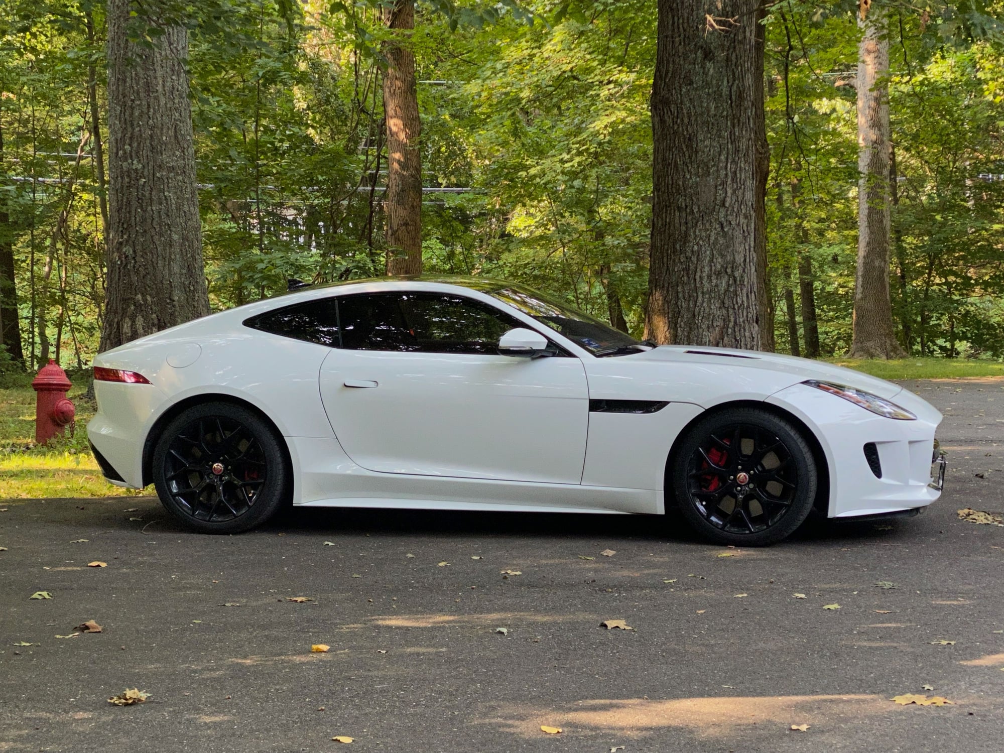 2017 Jaguar F-Type - Jaguar F-Type S Six-Speed - Used - VIN SAJWB6BC8H8K40121 - 6 cyl - 2WD - Manual - Coupe - White - South Salem, NY 10590, United States