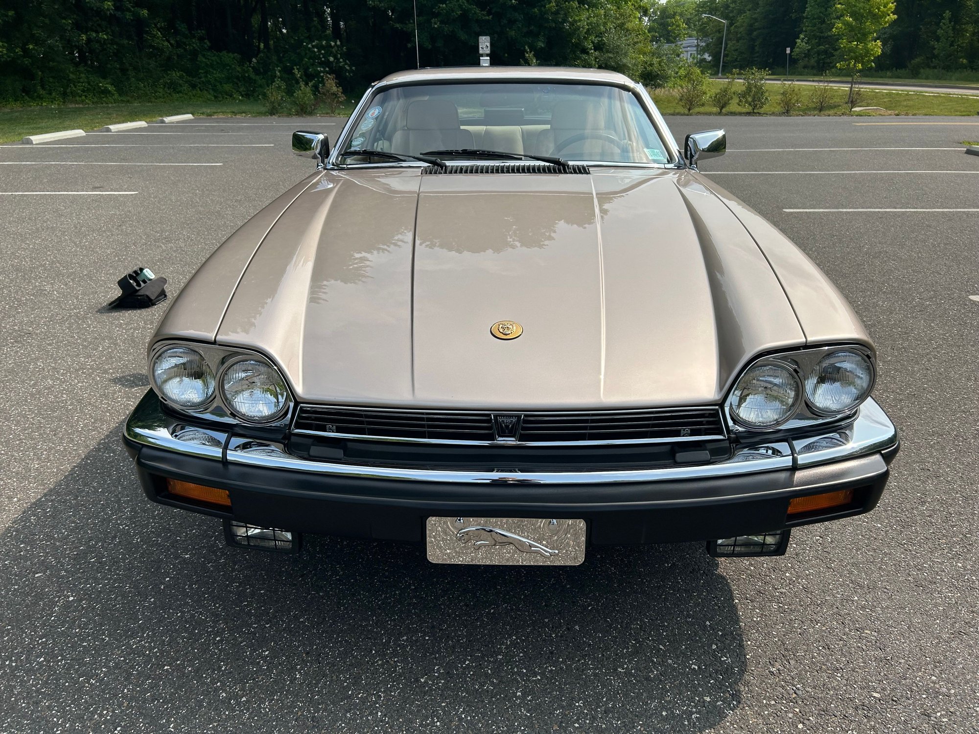 1991 Jaguar XJS - 1991 Jaguar XJS - Used - VIN SAJTW5842MC177301 - 88,500 Miles - 12 cyl - 2WD - Automatic - Coupe - Gold - Warrington, PA 18976, United States