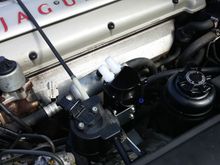Catch can location