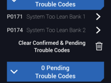 The only codes showing (and those retarded cams and cats codes vanished)