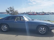 Cruising around by the Wharf at Point Cartwright