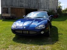 My Post Pictures