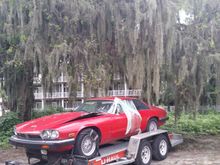Pretty cool picture under a majestic oak in the little fishing town of Darian, GA