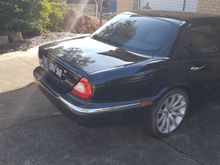 Freshly bathed and showing of her 
nice rear end 