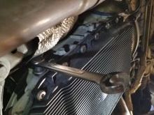 Drain location - lower down than I expected