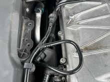 What did you do with these hoses
