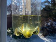 Eventually clean fluid came out