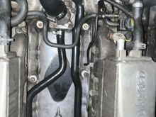 The silicone valley hoses. The thick elbow that goes from the engine block to the water outlet is also silicone. 