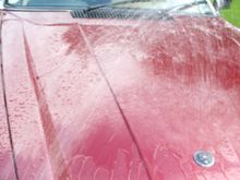 First a Quick Pre-Wash with the Garden Hose to get the Worst Off.
