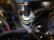 This is what I found Today the Brown Goo had now started to come back