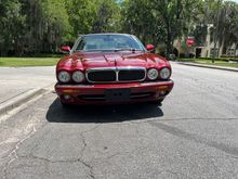 Glorious front on view