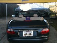 LSU Jag