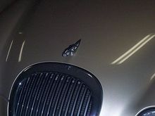 Jag4