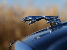 Leaper