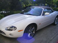 White Jag 1
