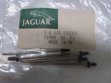 These are for attaching the Door Waist Seal Chrome strip.