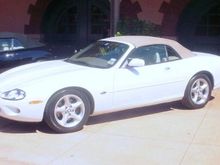 Prissy 2000 XK-8 In San Antonio Concours. Multiple LCNA Champ, Champion Division