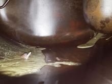 Left the tank sit as shown.  Excess sealer settled to what will be the outside of the tank, next to the wing.  Darn moth! Had to scratch at his carcass and vacuum him out.