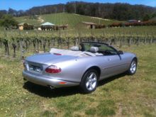 Photo taken on a Spring day in the Adelaide Hills wine region (South Australia).