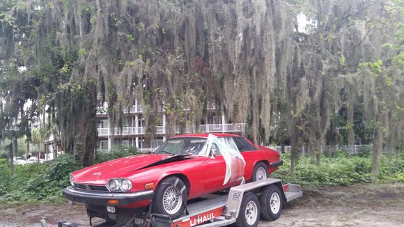 Pretty cool picture under a majestic oak in the little fishing town of Darian, GA