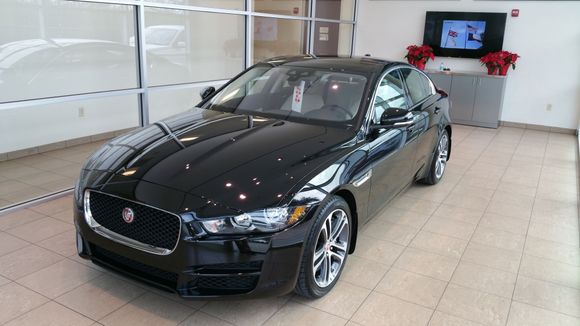 Sold! Taking her to her new home,  will be hard to pick her up and carry her over the threshold tho....