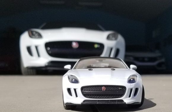 Mini- Me