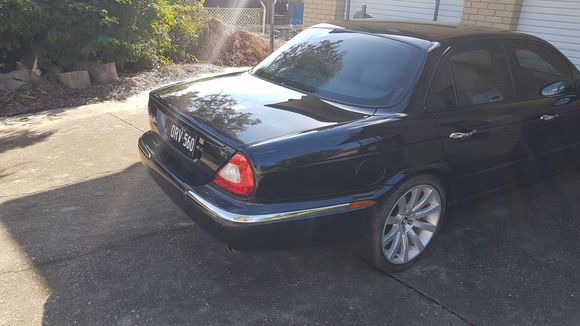 Freshly bathed and showing of her 
nice rear end 