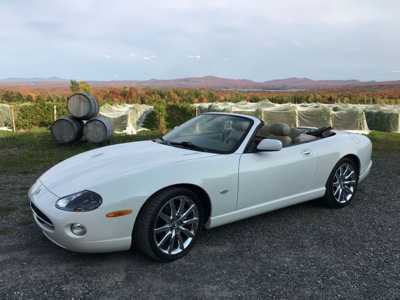 My 2006 XK8 Victory Édition in the Eastern Township Wineries 