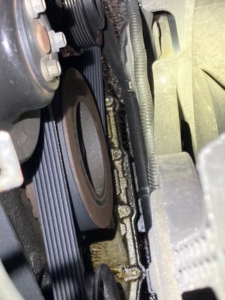 Oil or something has definitely leaked down there. 