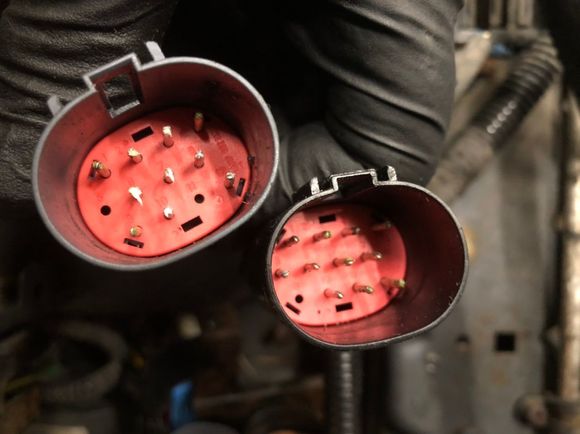 Contacts all look good