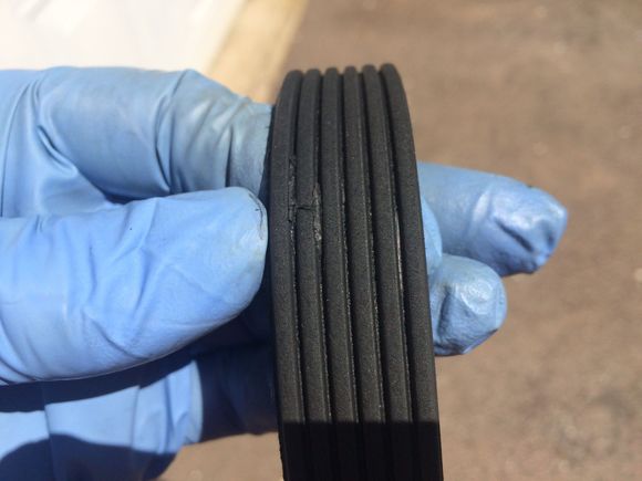 Dayco belt. 